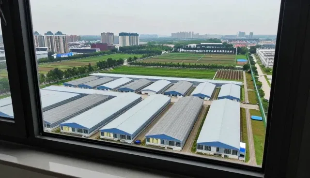 质量管理在销售服务中的实际应用与挑战